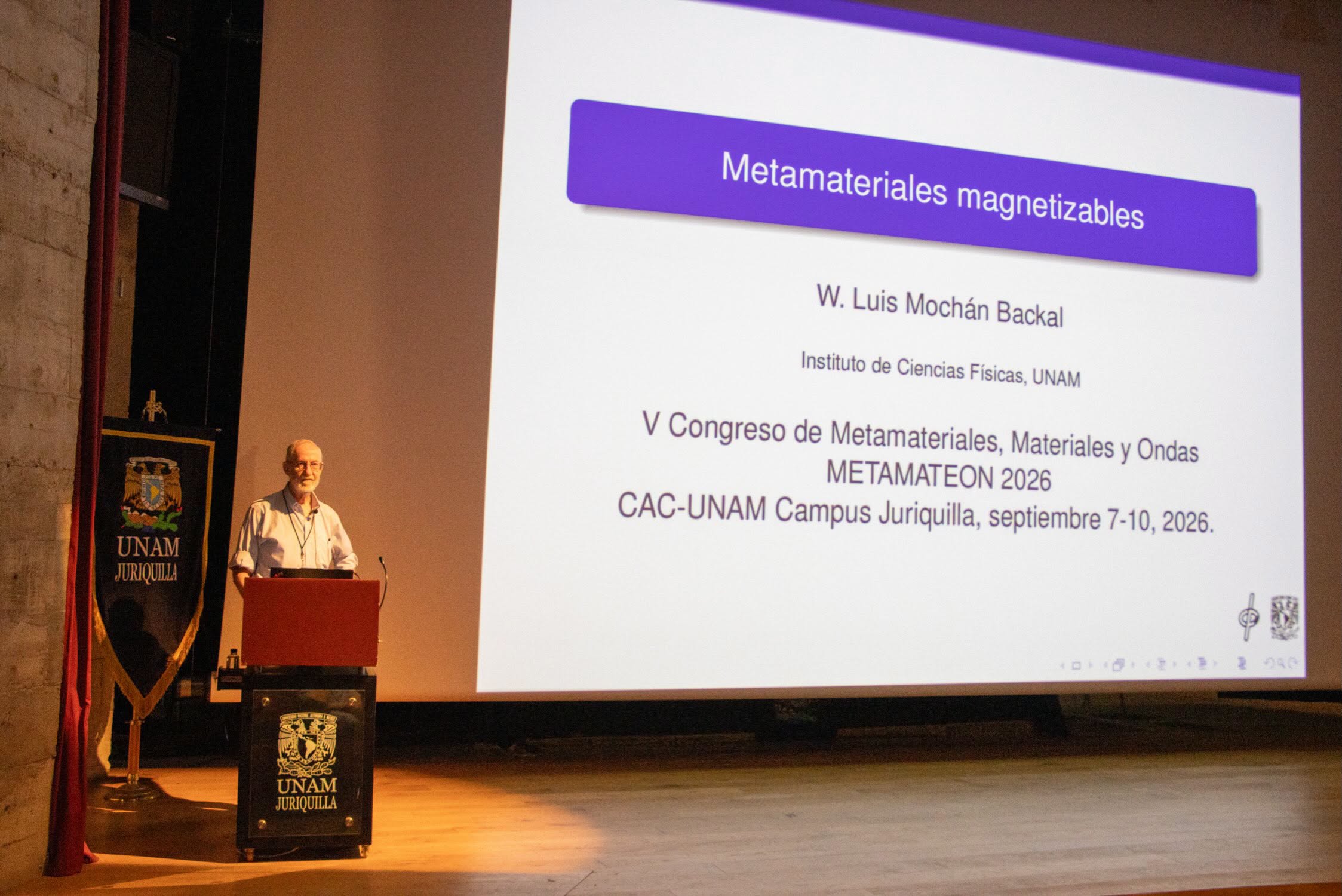 Plenaria Luis Mochán